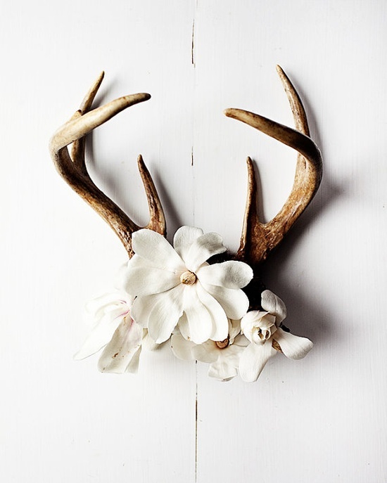 antler-with-flowers.jpg